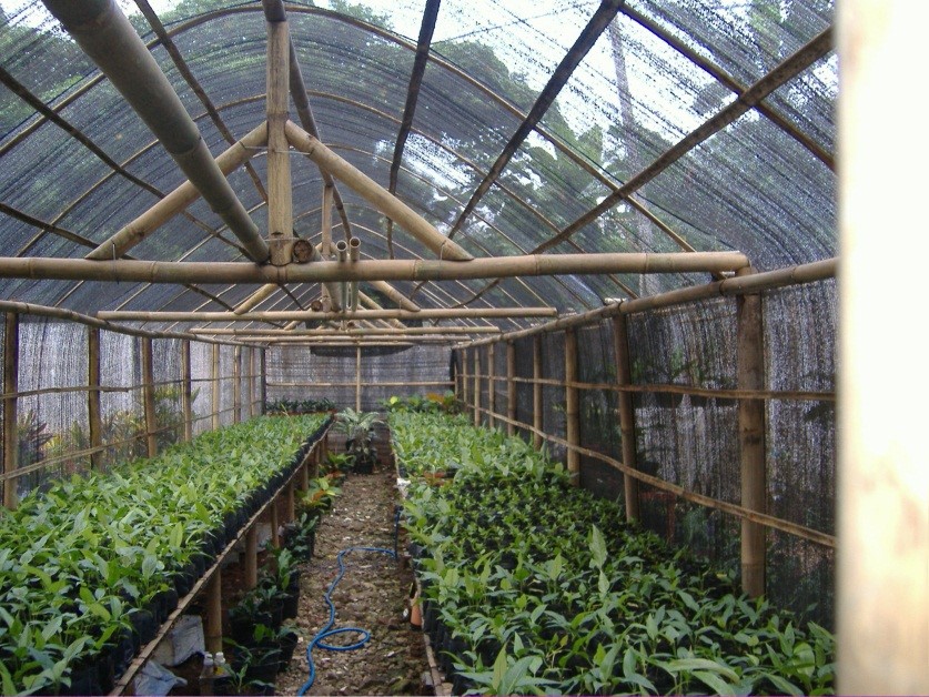 Green House tanaman sayuran — Pabrik NetPertanian